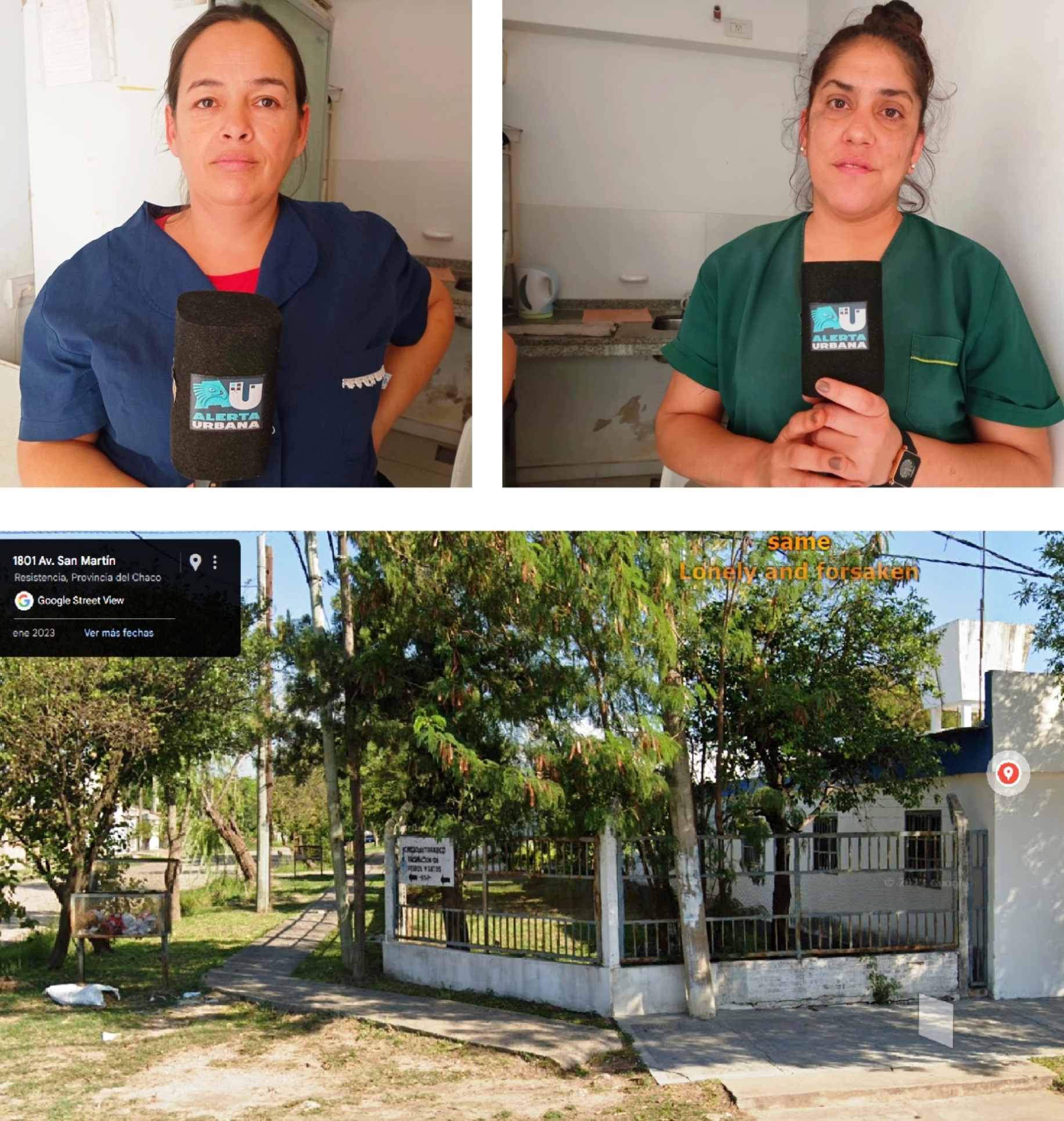 Grave denuncia en el Centro de Zoonosis provincial por falta de insumos y maltrato