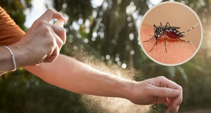 El Sauzalito: La provincia analiza dos casos probables de dengue