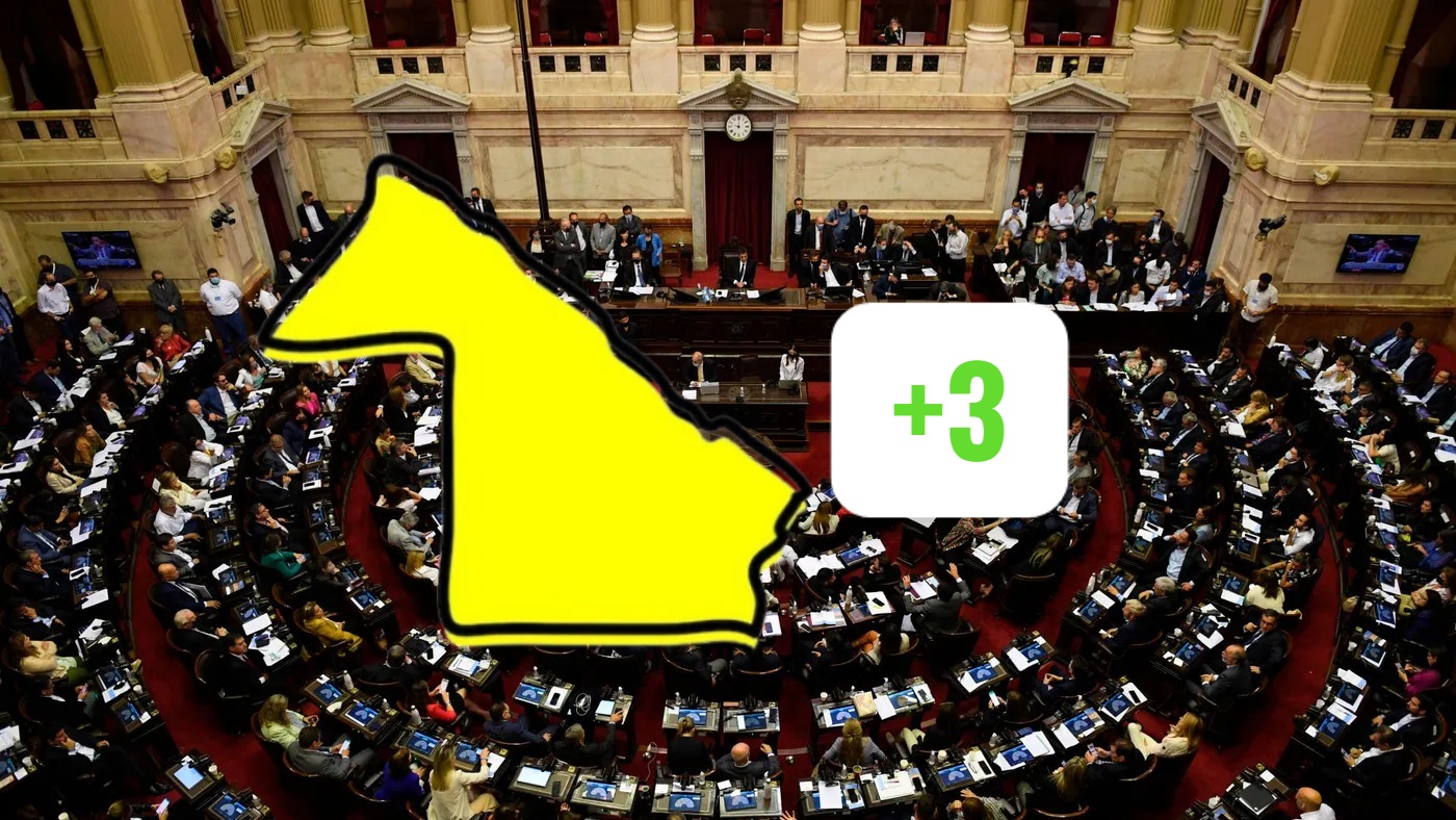 El Congreso debería tener 102 diputados más y el Chaco sumar 3 bancas