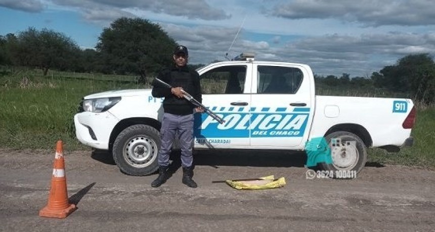 En Charadai atraparon a un cazador furtivo que llevaba una cola de yacaré  