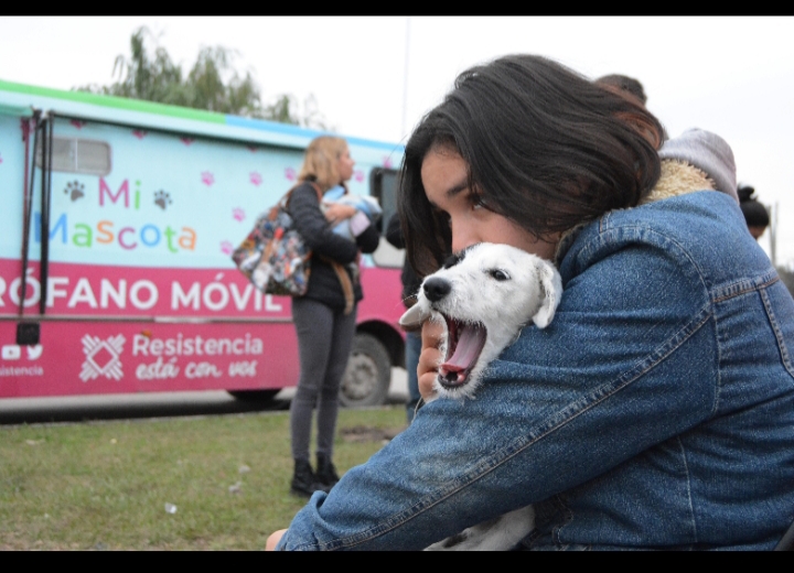 Este viernes en el Barrio Nuevo Amanecer llega la castración gratuita de mascotas 