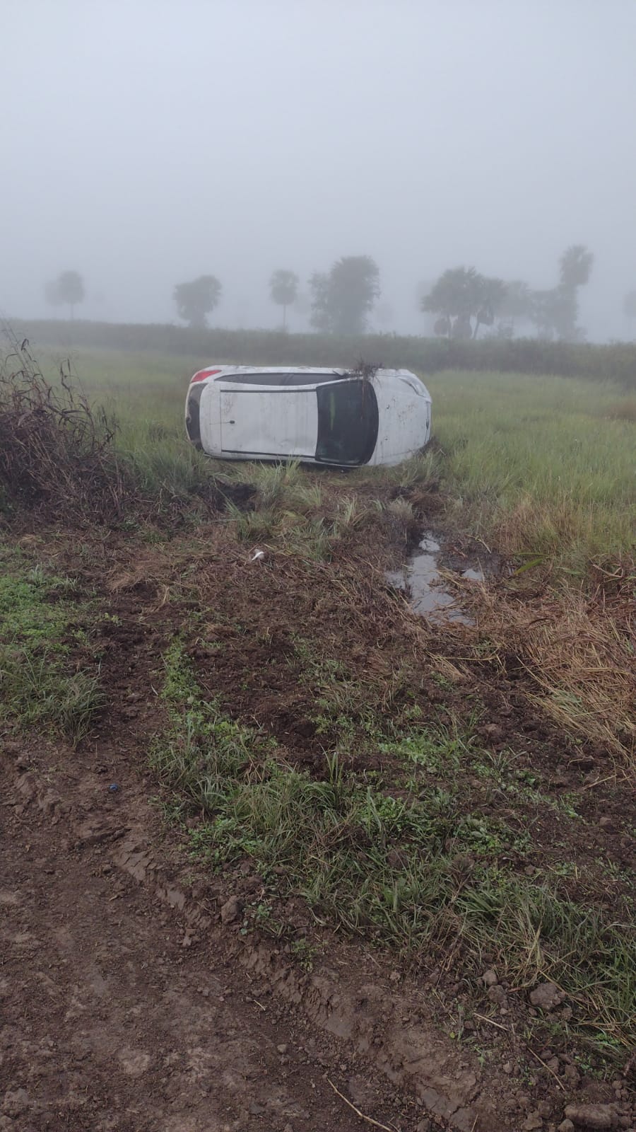 La Leonesa: perdió el control del auto, volcó y resultó ileso