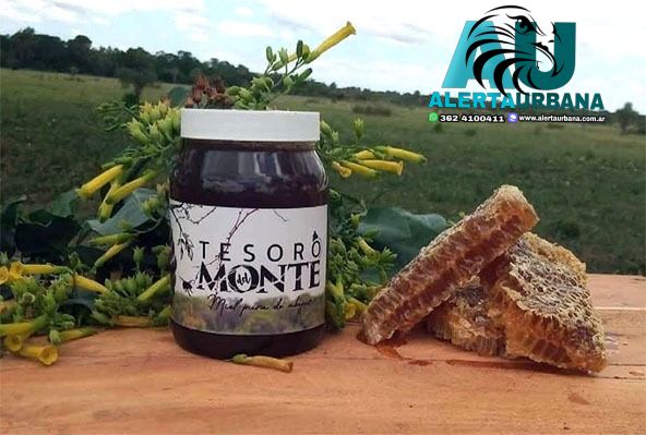 La miel chaqueña “Tesoro del Monte” fue la ganadora de la ExpoMiel Azul 2023