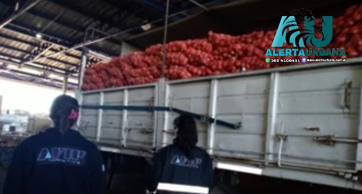 Incautaron 28 toneladas de cebollas que pretendían llevar de Corrientes 