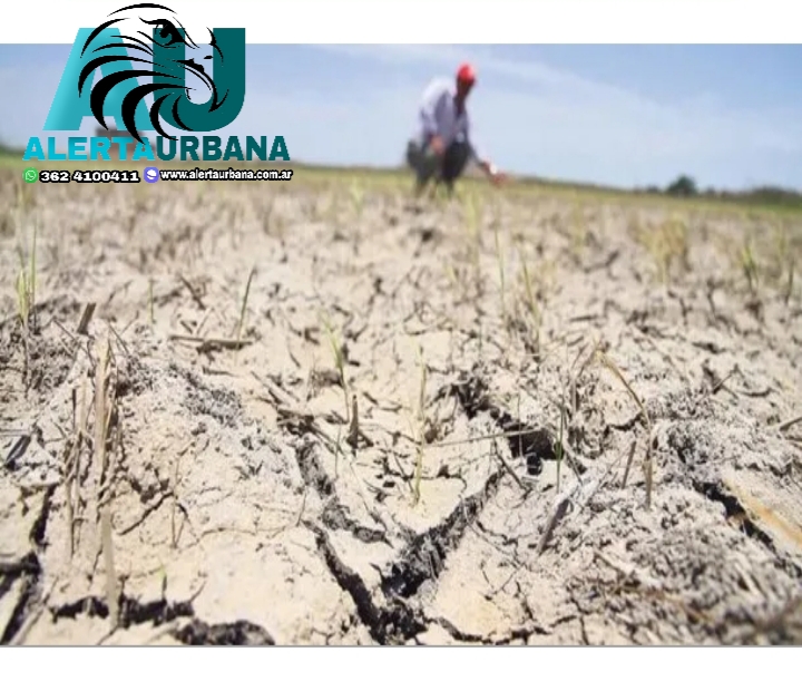 Declararon emergencia agropecuaria en Jujuy, Neuquén y Salta