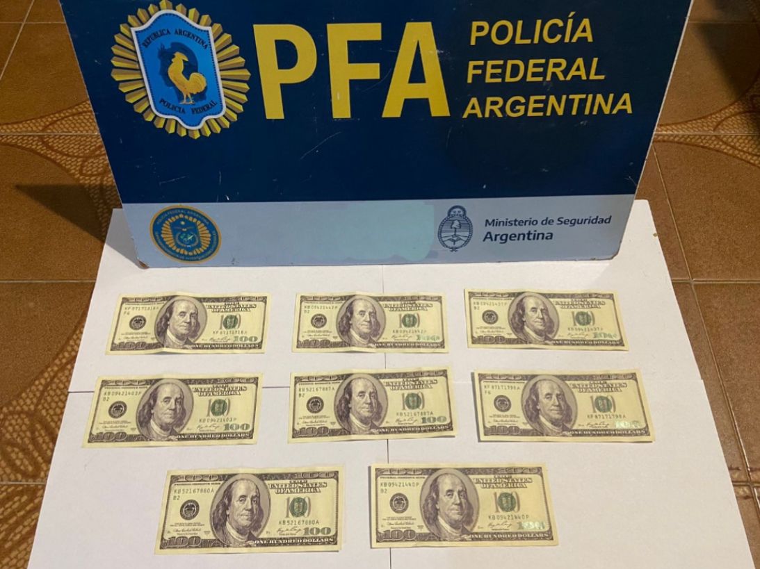 Operativo “viejos verdes”: la PFA desmanteló una banda de falsificadores de dólares
