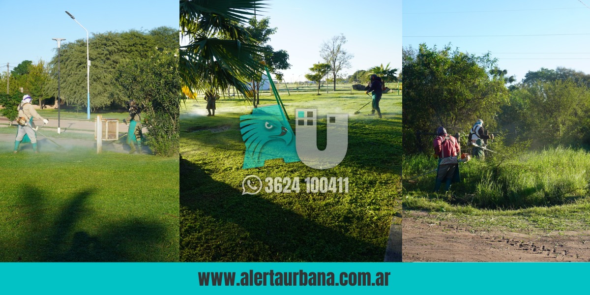 El municipio de Presidencia de la Plaza avanza con tareas de mantenimiento y limpieza en espacios verdes