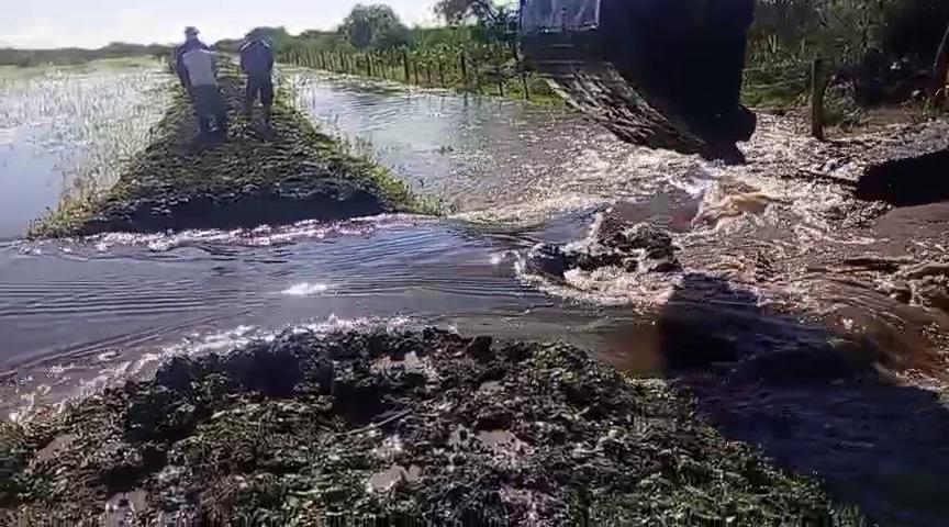 En Plaza, la APA liberó terraplén ilegal que inundaba una zona rural