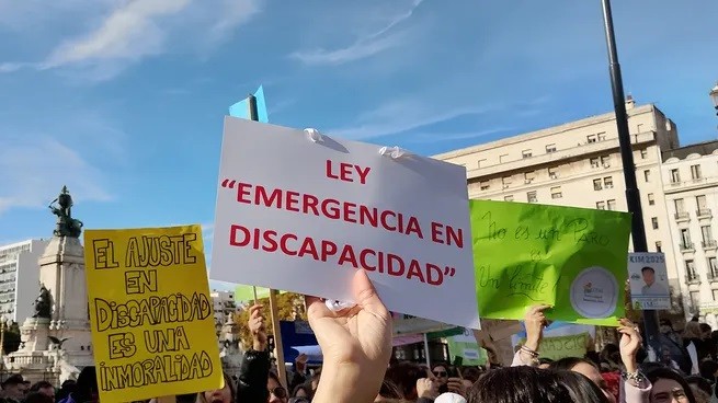 ¿Qué propone la declaración de emergencia en discapacidad? 