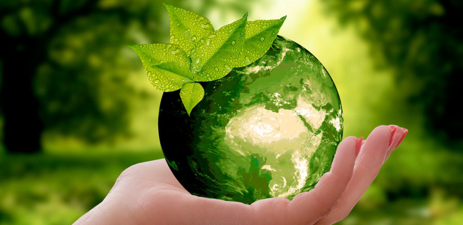 Hoy se celebra el Día Mundial del Medio Ambiente