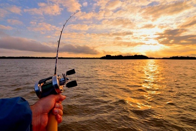 La pesca comercial está permitida únicamente en dos días de la semana  