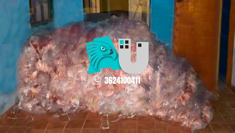 Neuquén: lo descubrieron con más de tres mil kilos de asado de contrabando 