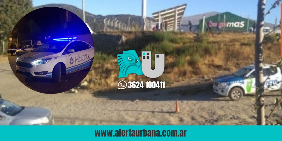 Impactante golpe en Bariloche: se llevaron 80 armas, una camioneta y una caja fuerte con dinero