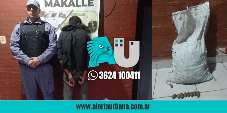 Makallé: Pedrito robaba nueces para venderlas y tener para comer