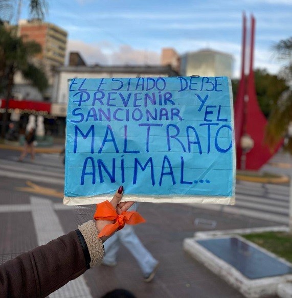 Resistencia: Reúnen firmas por una ley provincial de esterilizaciones