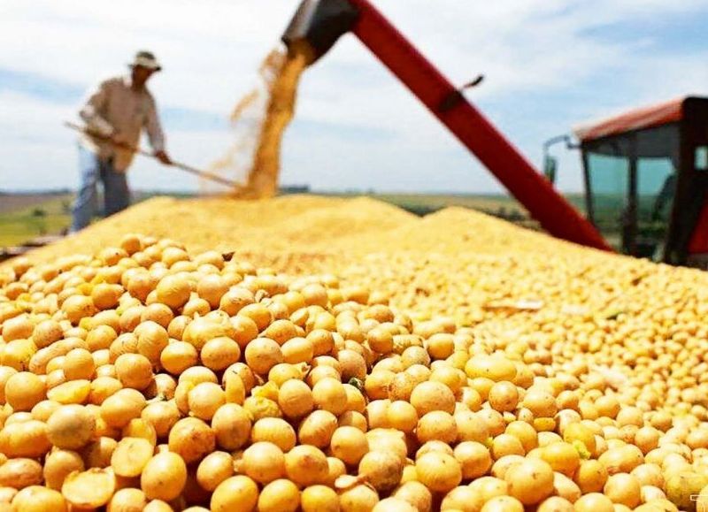 Chaco exportó por 48 millones de dólares en mayo y suma USD 159 millones en lo que va del año 