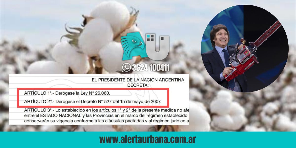 ¿Chau Fondo Algodonero?: Milei derogó la Ley y le propina un duro golpe a la producción chaqueña