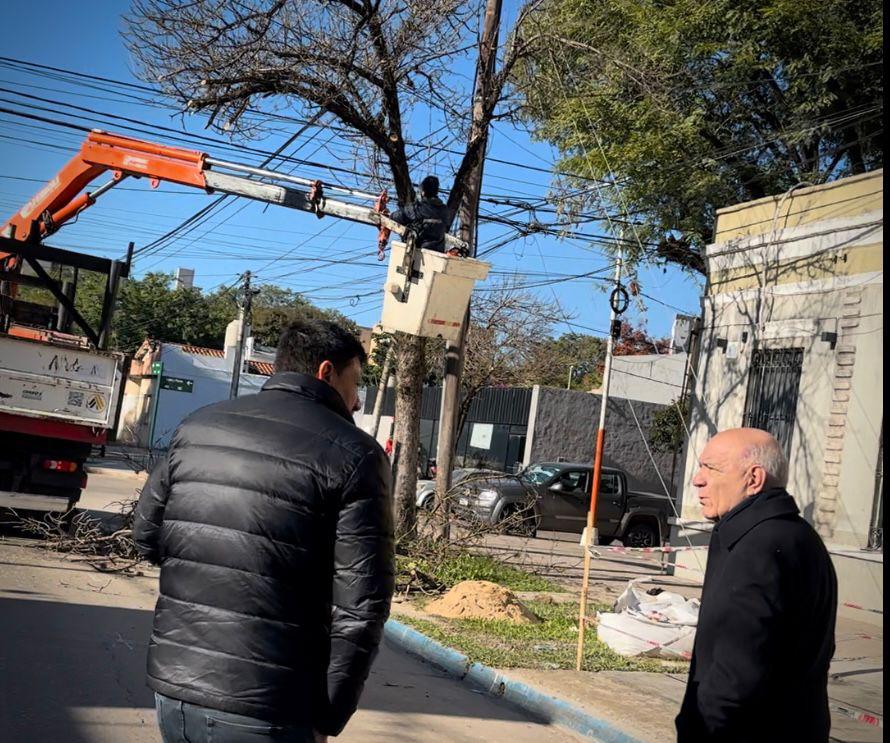 Secheep refuerza el alumbrado público con poda responsable en el Gran Resistencia 