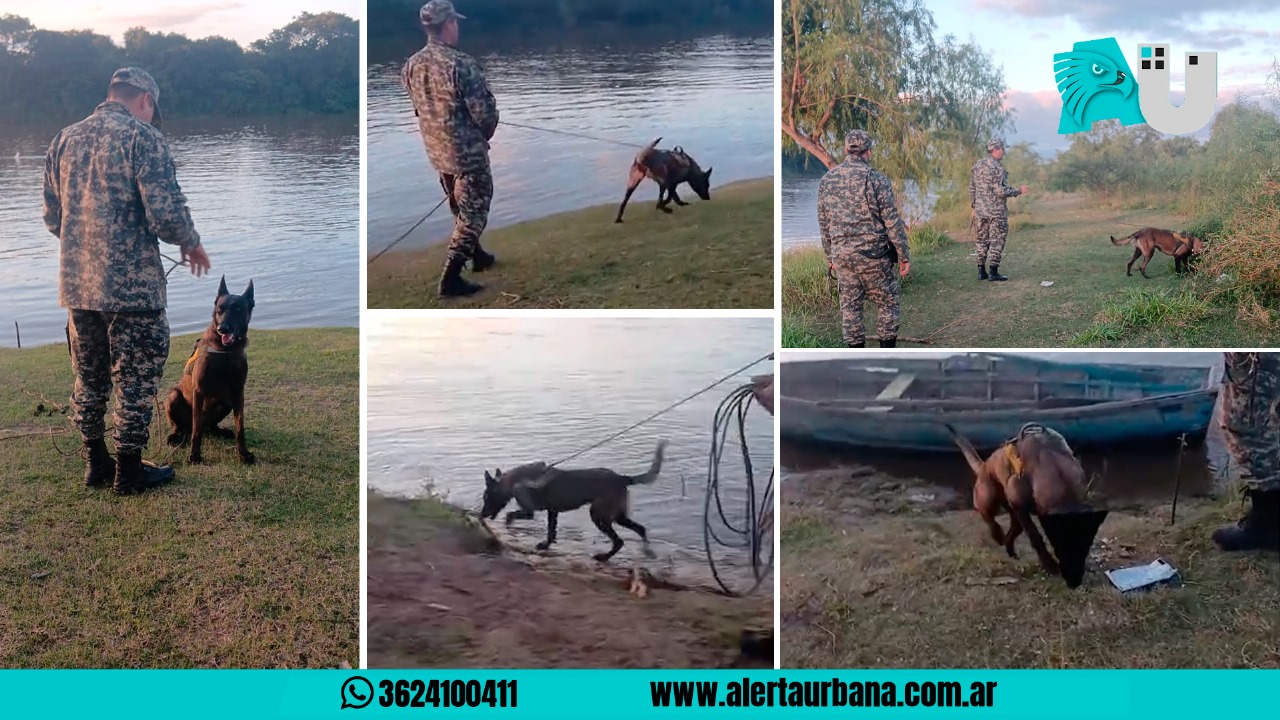Vilelas: perro de búsqueda no encontró señales del hombre que se habría arrojado del Puente