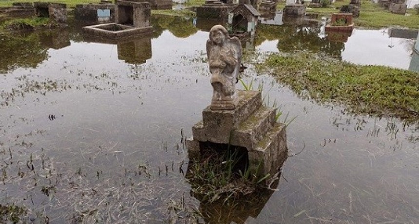 Malestar por el estado del cementerio de Resistencia