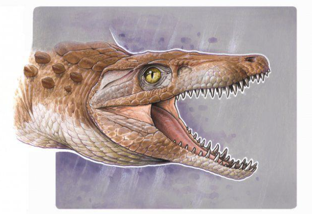 Científicos argentinos y chilenos descubrieron restos de un cocodrilo de 148 millones de años