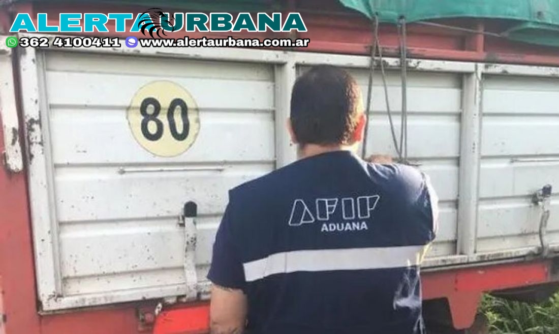 Contrabando de soja: la Aduana detectó cuatro camiones en Salta
