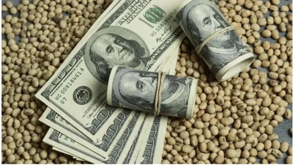 El precio de la soja tocó el nivel más bajo en cuatro años y complica ingresos del gobierno de Milei
