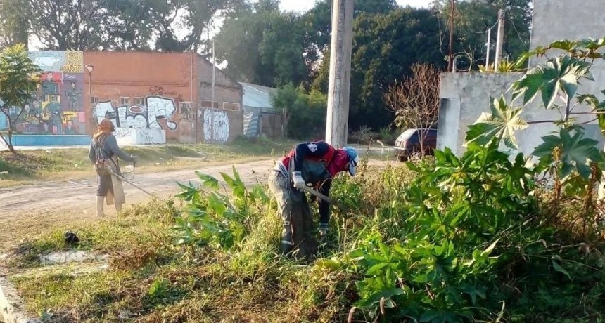 La Municipalidad de Fontana avanza con limpieza y desmalezado en los barrios