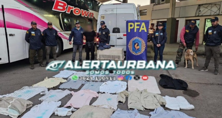La Policía Federal detuvo a un traficante proveniente de italia con 11 kilos de cocaína