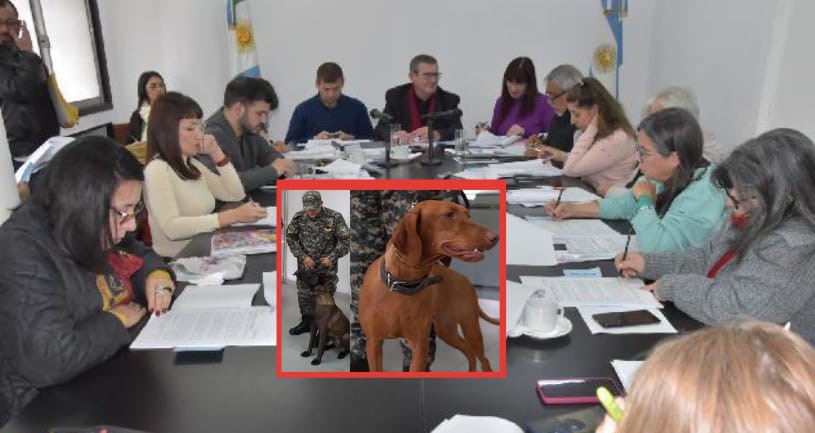 Visto bueno de la Legislatura al proyecto para adoptar perros policías que salen de servicio