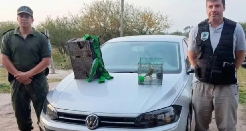Detienen en Corrientes a dos hombres que llevaban ejemplares de aves en peligro de extinción