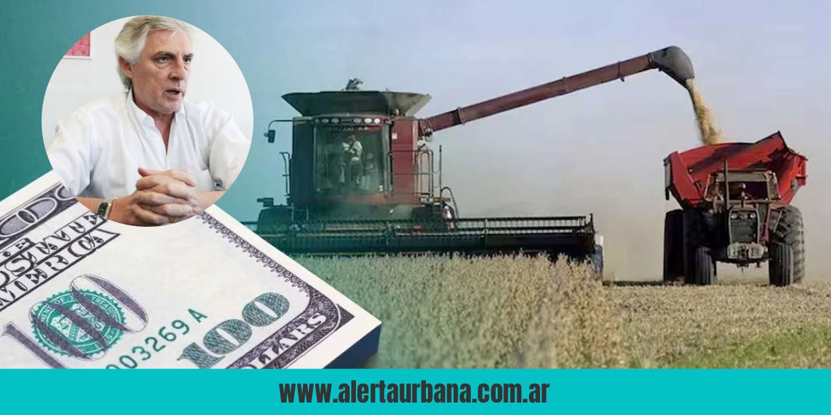 García Solá y el regreso de las retenciones: “Es una utopía sacarlas”