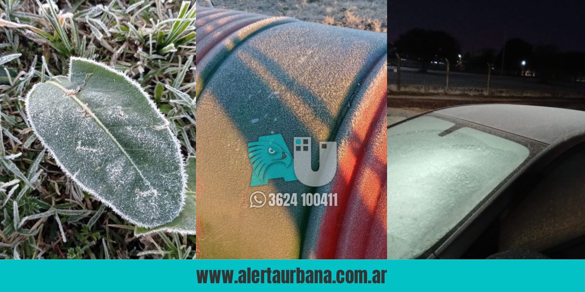 GALERÍA DE FOTOS: La helada tiñó de blanco a Resistencia