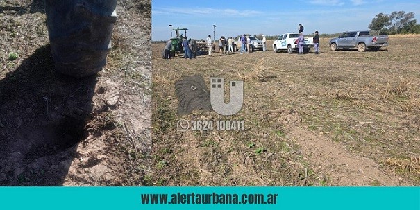 Tragedia chaqueña: iba cebándole mate al marido, cayó y fue aplastada por el arado 