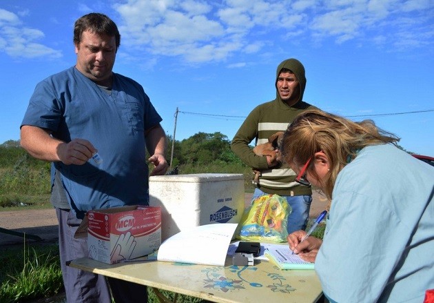 Fontana: abren turnos para castraciones gratuitas de perros y gatos 