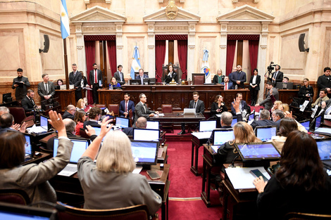 El Senado le dio un golpe duro al gobierno Nacional y pone en contra las cuerdas a Milei 