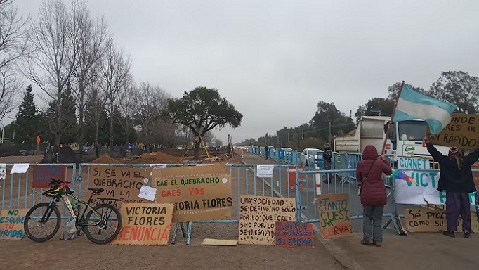 Córdoba: resisten que se quite un árbol de casi 300 años por la ampliación de una avenida