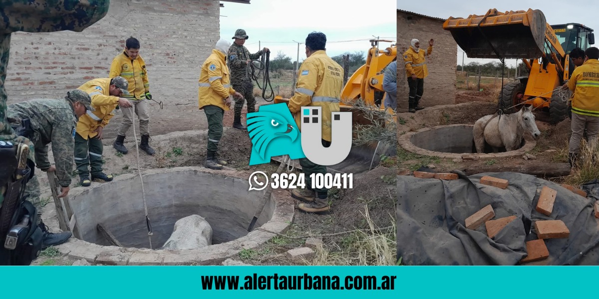 Rescatan a un caballo que cayó en un pozo sin tapa en Pampa del Infierno
