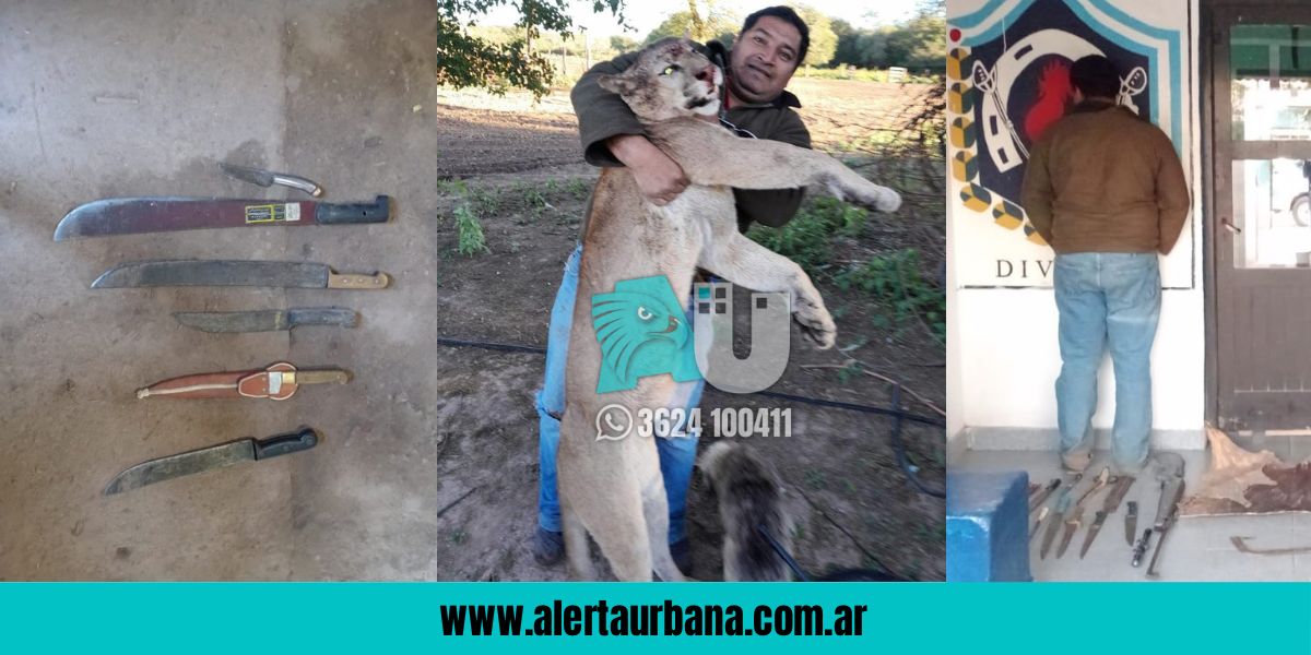 Pampa del Indio: viralizan video de cazador con un puma y lo detiene la Policía