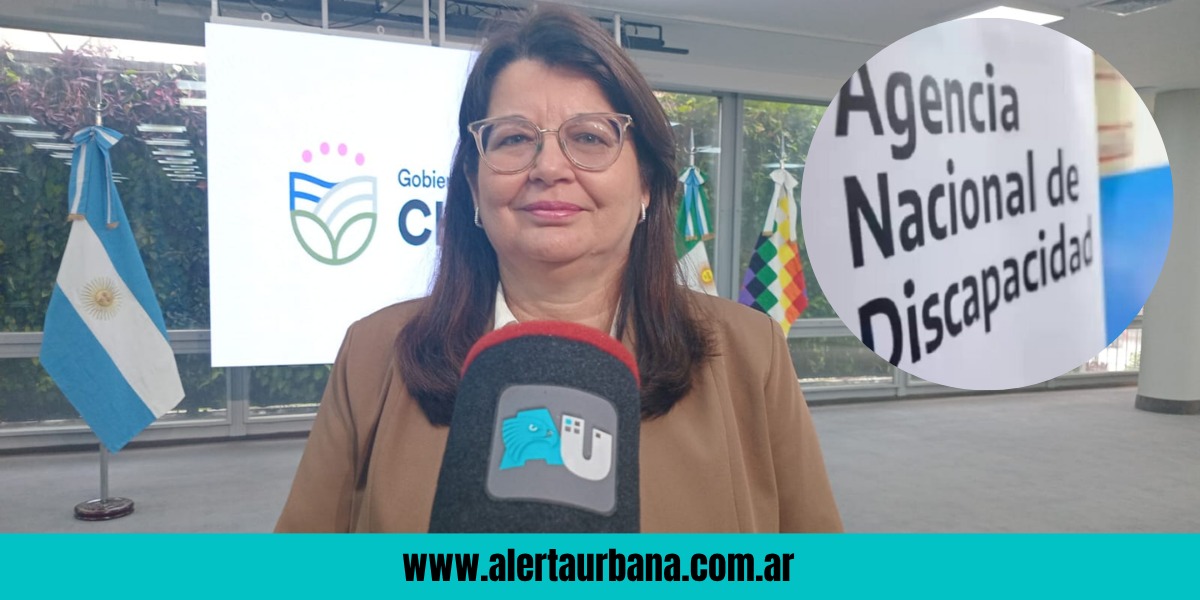 “Son solo suspensiones y pueden reactivarse”: la definición del gobierno del Chaco sobre la baja de pensiones por discapacidad