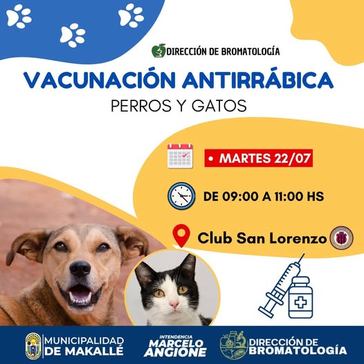 El municipio de Makallé lanza nueva jornada de vacunación antirrábica gratuita para mascotas