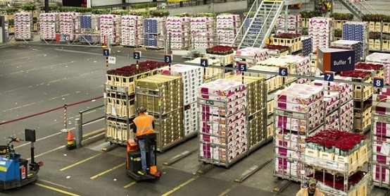 La economía creció 5% en mayo, por debajo de lo esperado