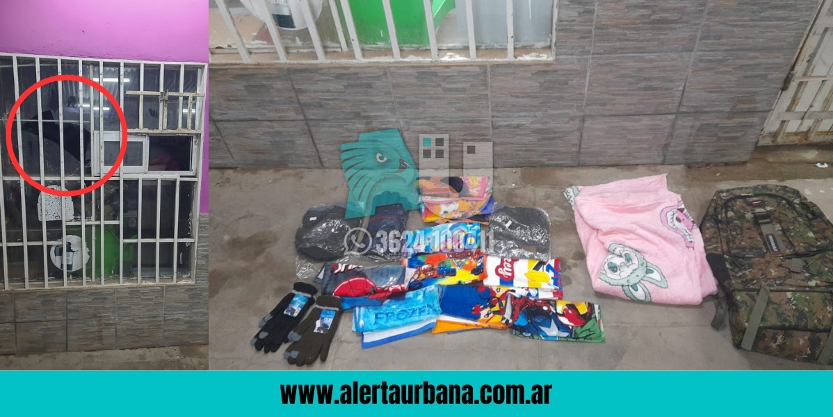 El chorro se quedó con las ganas: robó de todo de un multirubro en zona Sur, pero lo agarró la Policía