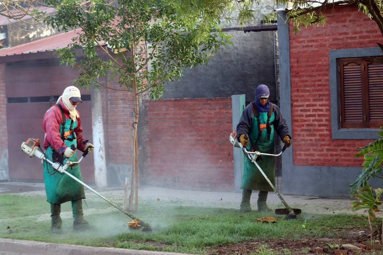 Municipalidad de Plaza: continúan las tareas de saneamiento ambiental