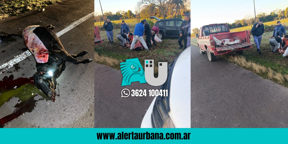 Accidente en Ruta 16: chocaron contra un vacuno y terminaron contra un árbol