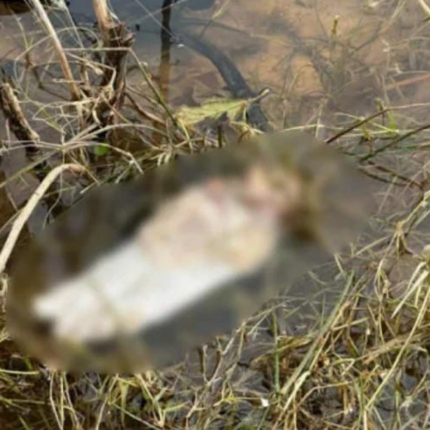  Corrientes: encuentran restos de un pie cerca del cementerio
