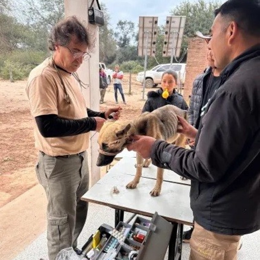 Nuevo operativo de esterilización de perros y gatos en un paraje del Impenetrable  