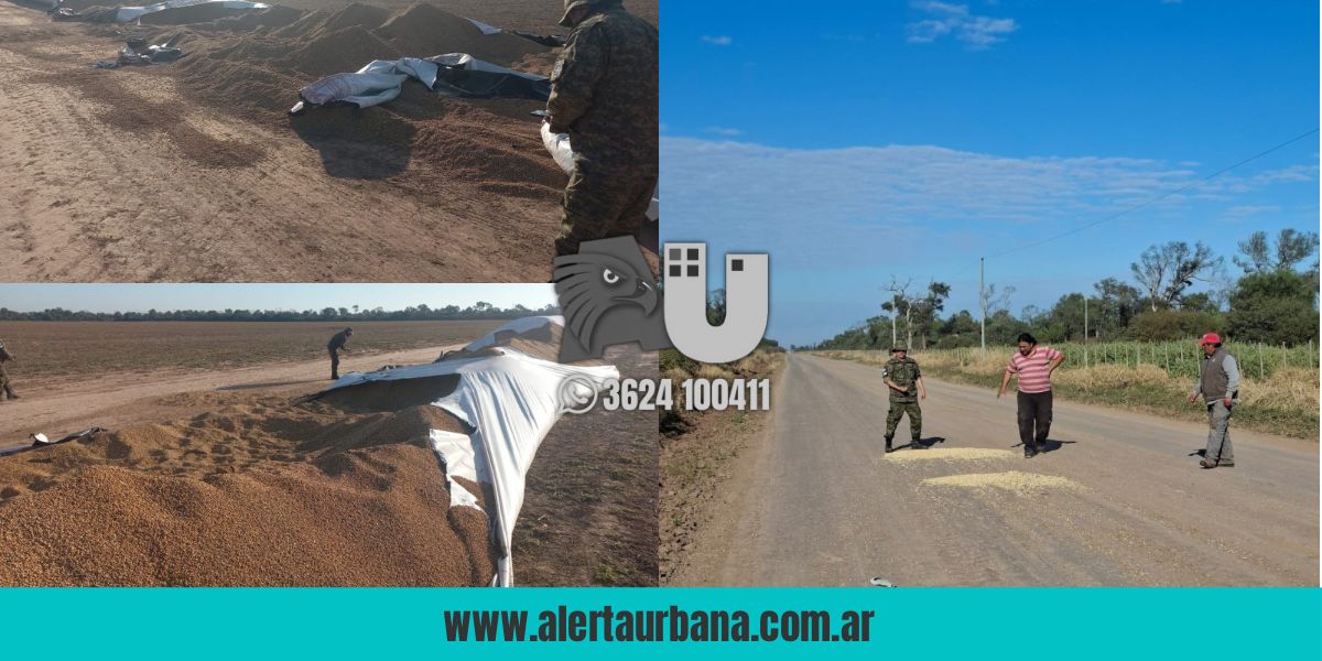 Investigan robo de soja en zona rural de Pampa del Infierno: identificados varios involucrados