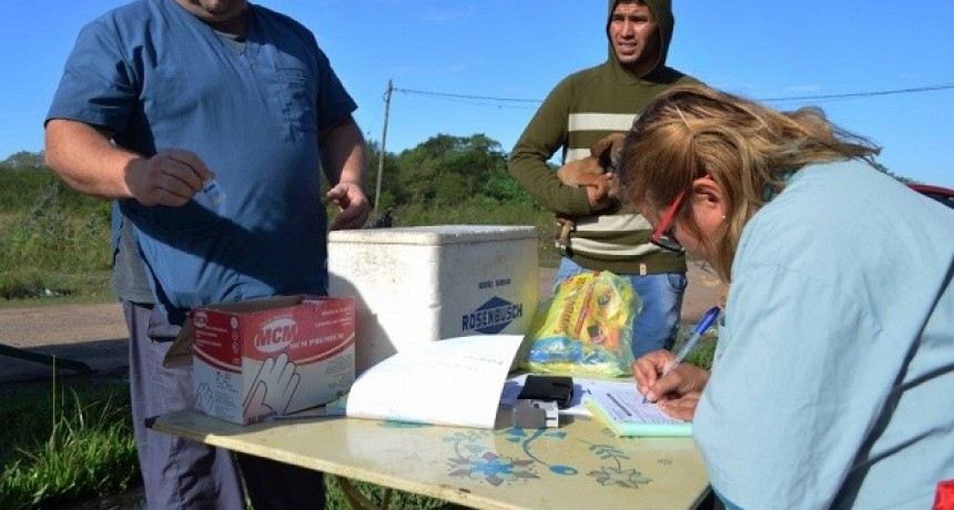 Fontana: abren turnos para castraciones gratuitas de perros y gatos 