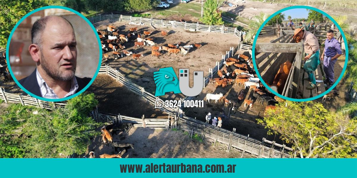 El abogado de Emerenciano, otra vez en la mira ¿por vacas ajenas?